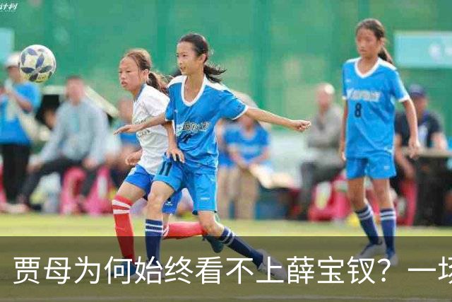 贾母为何始终看不上薛宝钗？一场螃蟹宴，早就把答案摆上了桌